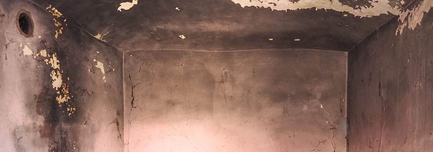 Dealing with Damp and Mould: Solutions and Selling Options