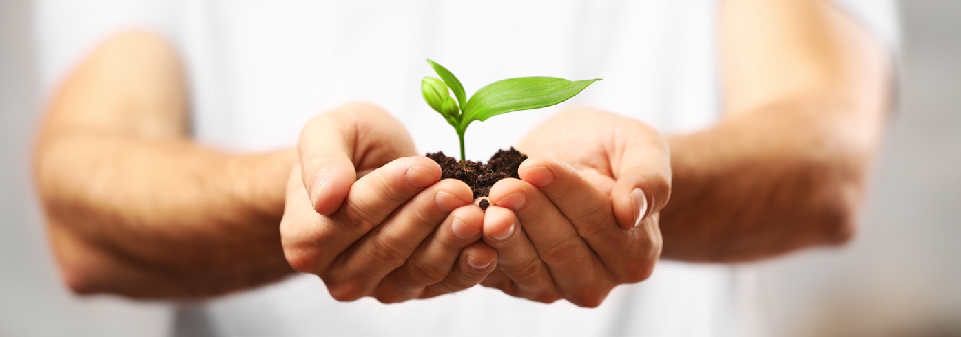 Why buying land at auction is a good investment?
