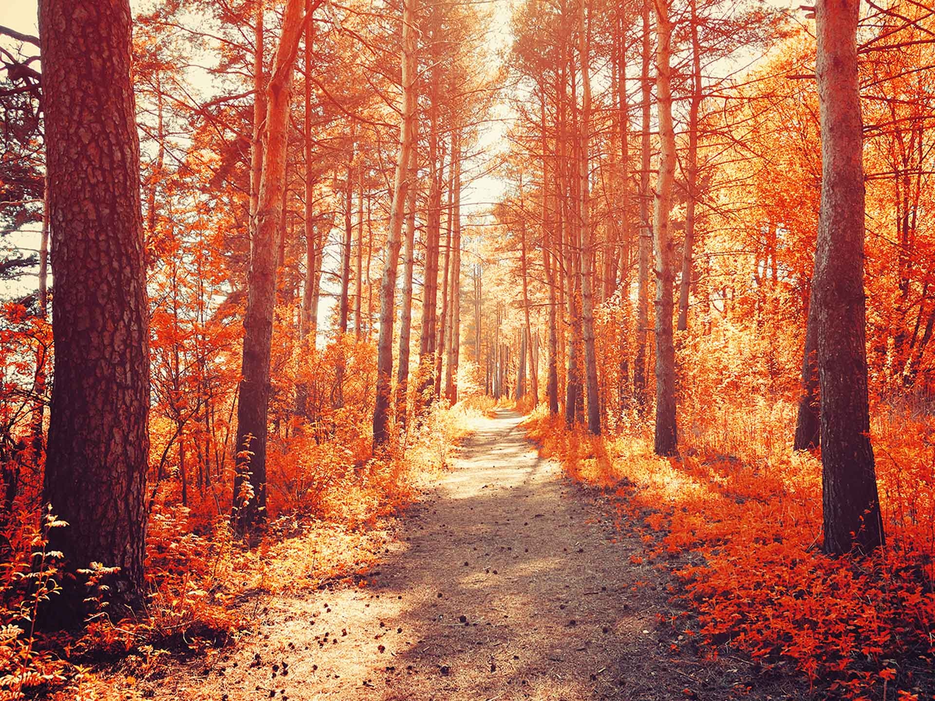 Why autumn is a great time to sell and buy a home