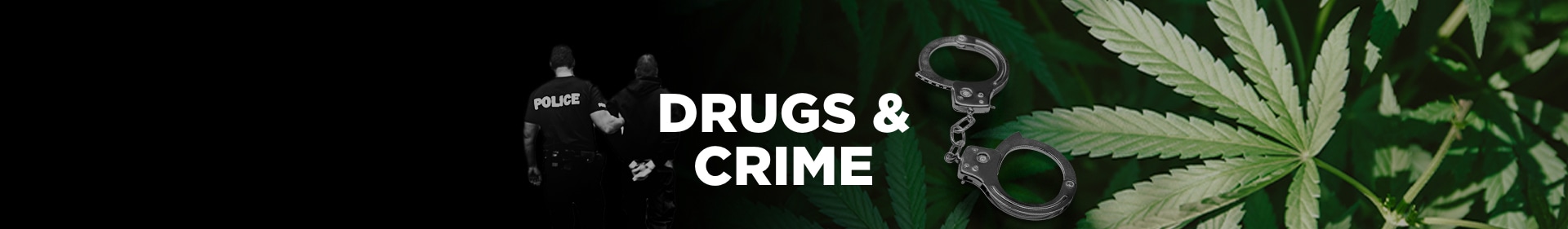London Flat Used as Sophisticated Cannabis Factory Uncovered in Finchley.