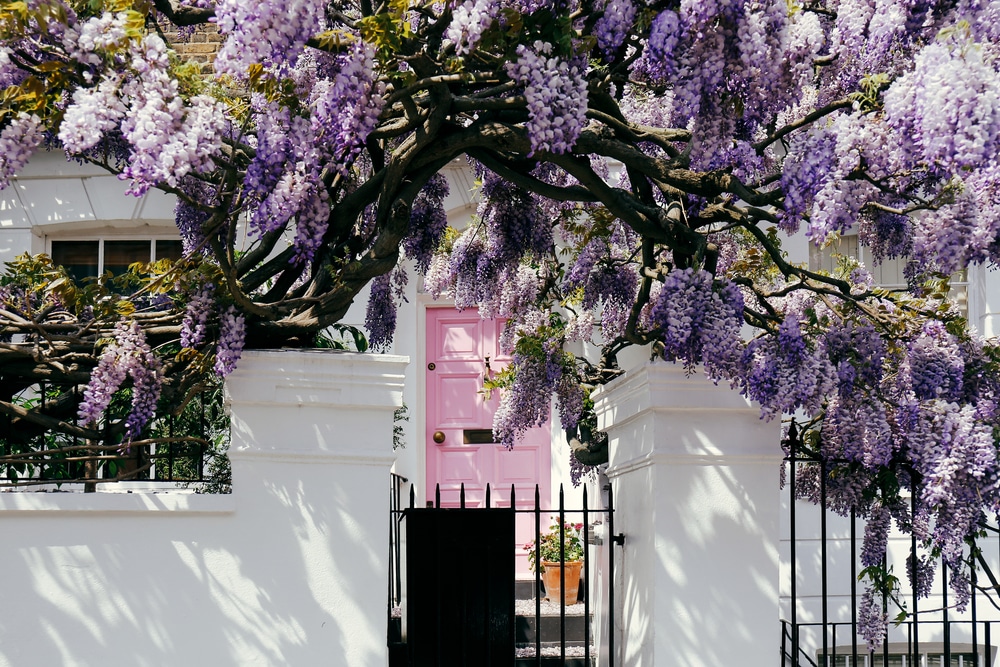 As house prices hit new record high, experts deem spring as the best time to sell